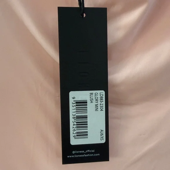 Glory Mini Dress in Blush
LIONESS - Picture 6 of 6